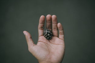 同志代怀生子中心:宝宝吃手吃到手指脱皮起茧怎么办?